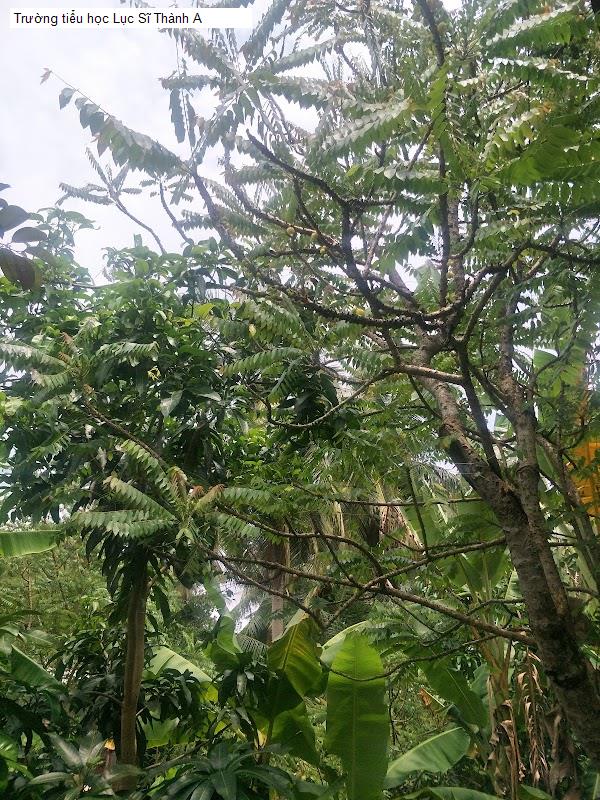 Trường tiểu học Lục Sĩ Thành A